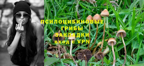 крисы Алексин
