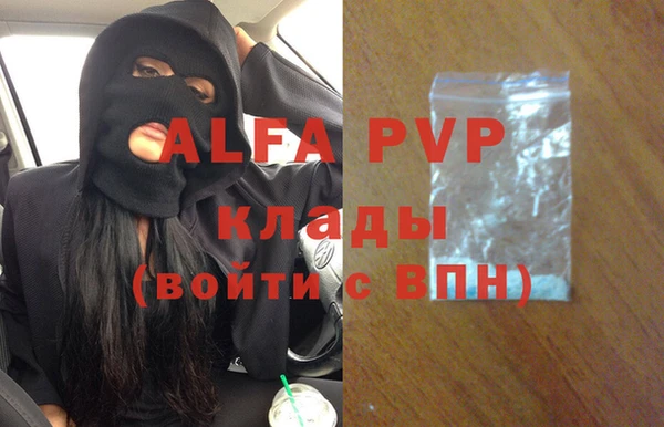 крисы Алексин