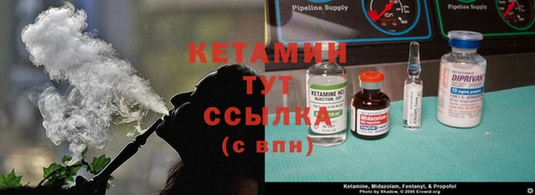 крисы Алексин