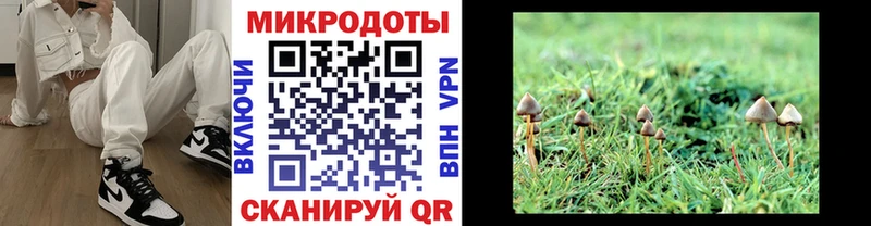 Галлюциногенные грибы Psilocybe  дарнет шоп  Ступино 